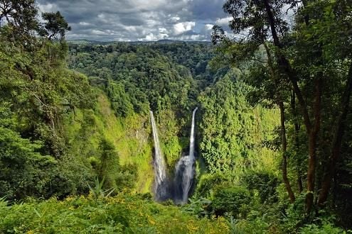 Traverse the Bolaven Plateau by Jeep