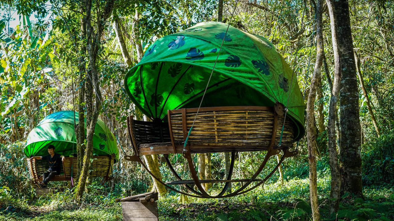 Rest in the jungle at the Nam Et Nests