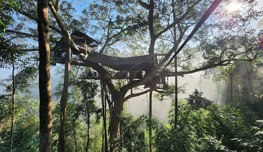 The Gibbon Experience