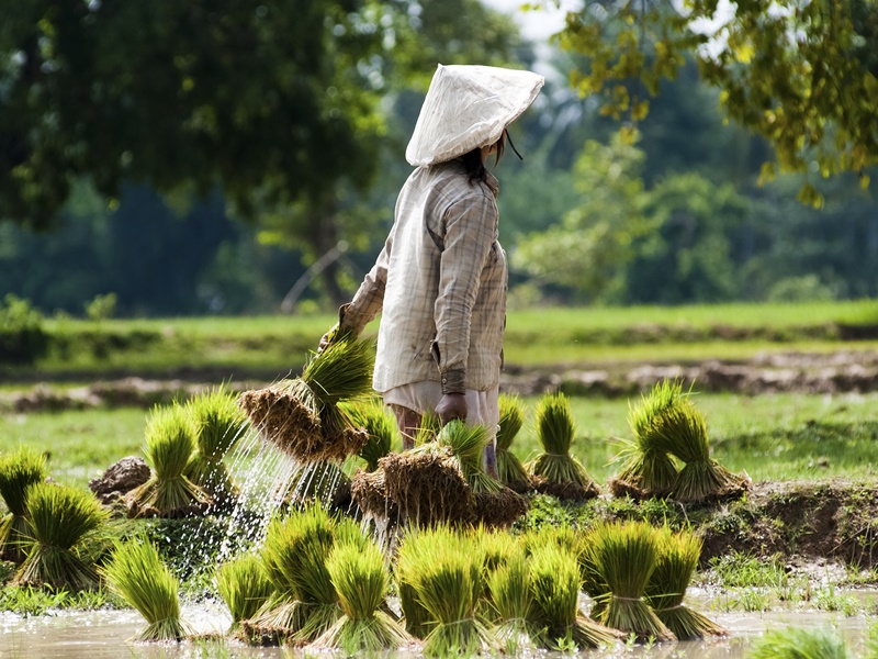 NORTHERN LAOS