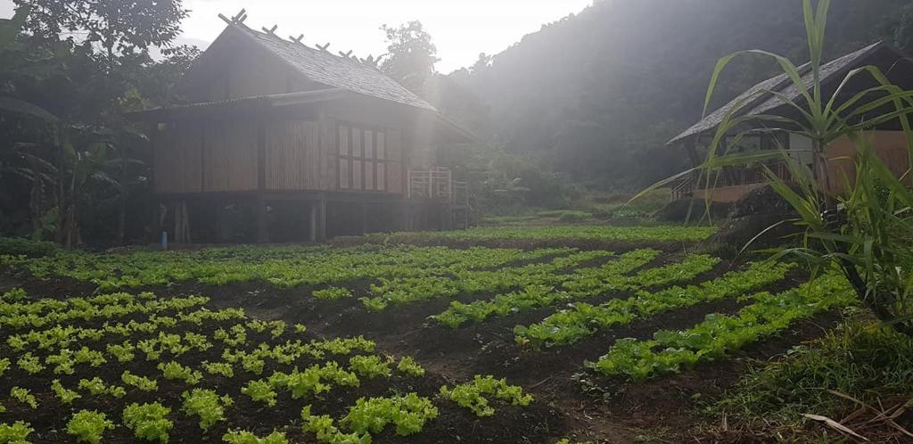 Nam Kat Yorla Pa, Rural widerness, Muangla Oudomxay