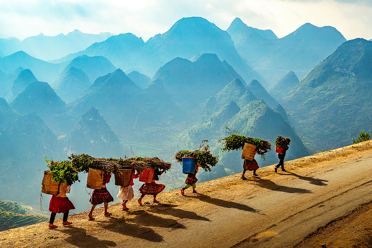 SAPA