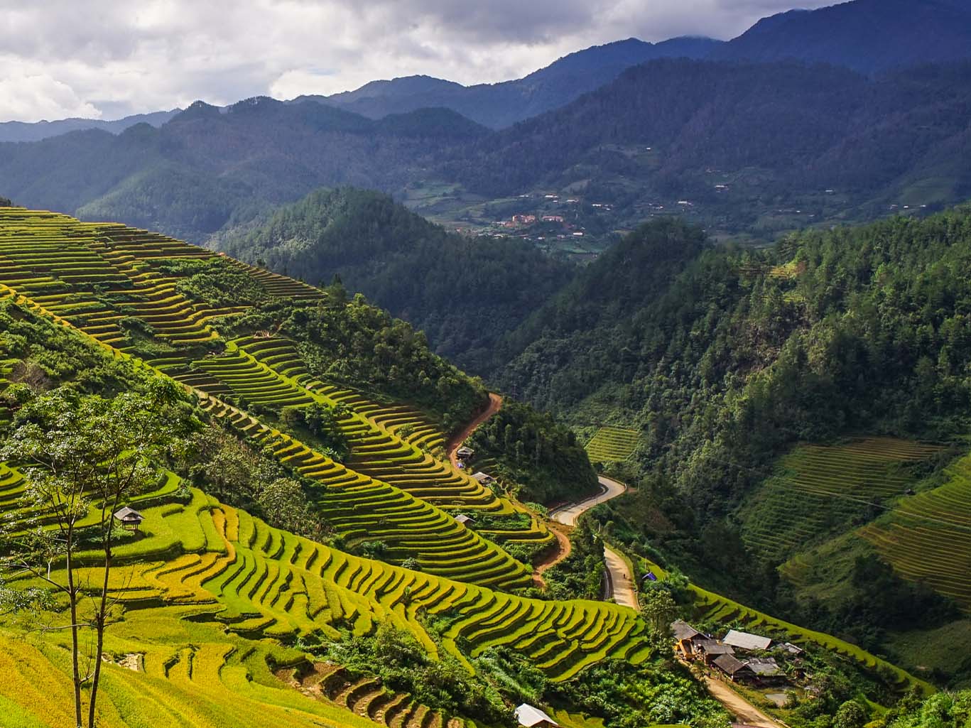 HA GIANG