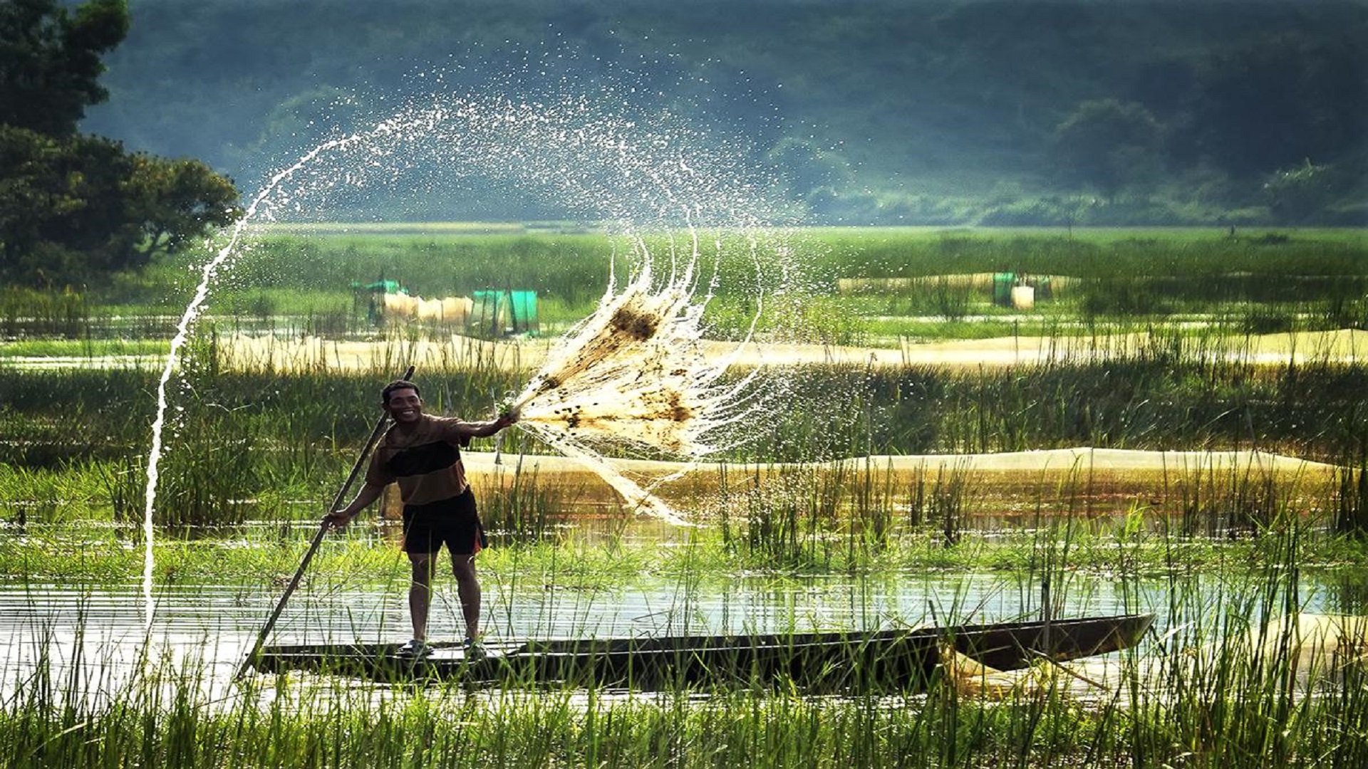 An Giang: Xứ sở chuột đồng