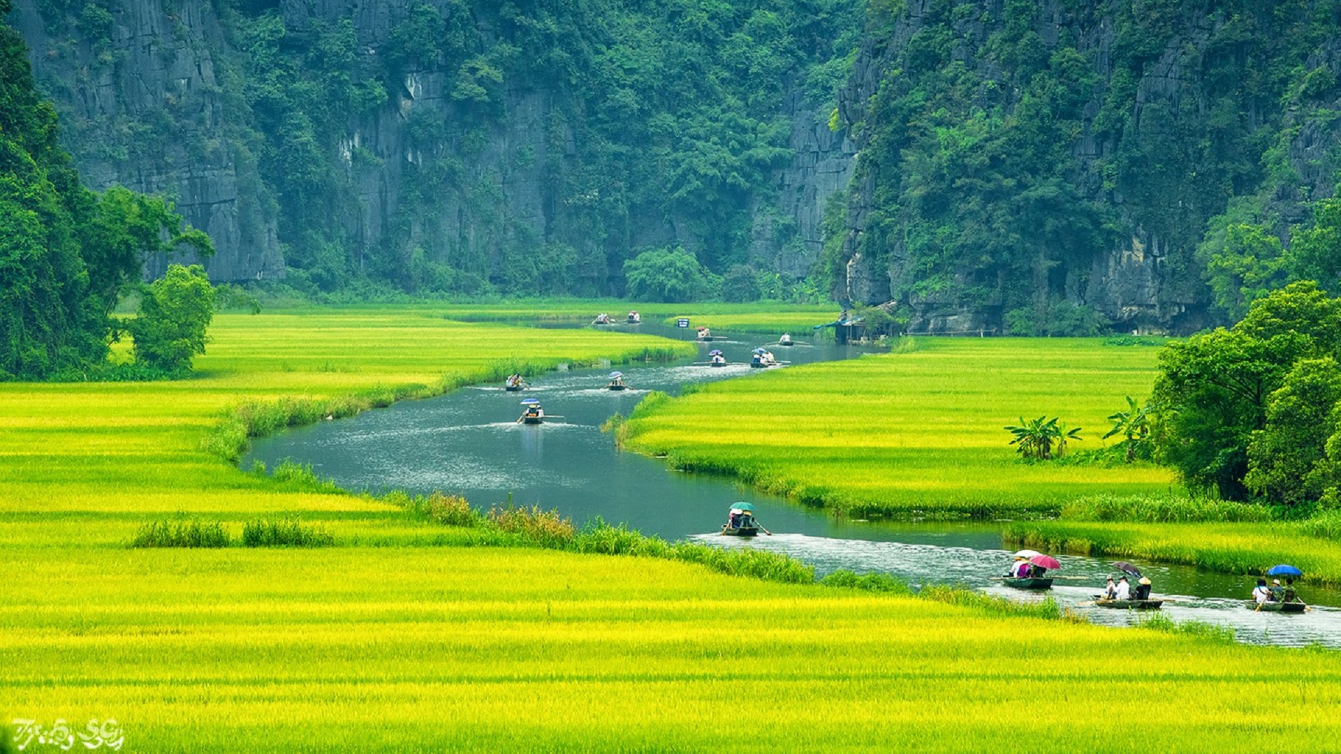 KINH NGHIỆM DU LỊCH TAM CỐC BÍCH ĐỘNG