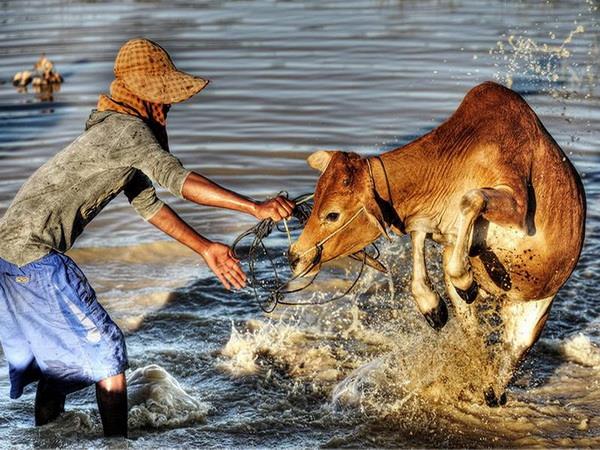 Cambodia in Style