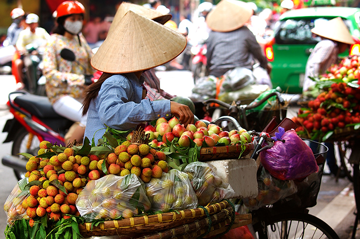 Culinary Delights of Vietnam