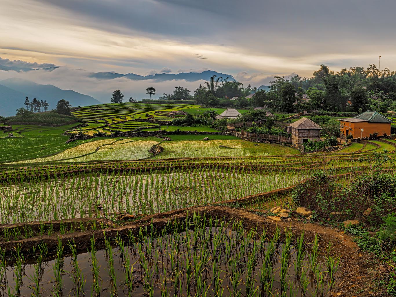 Vietnam & Angkor