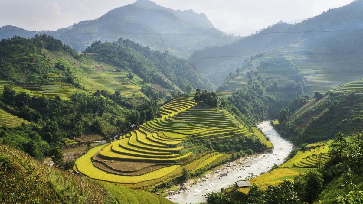 Vietnam Made Easy