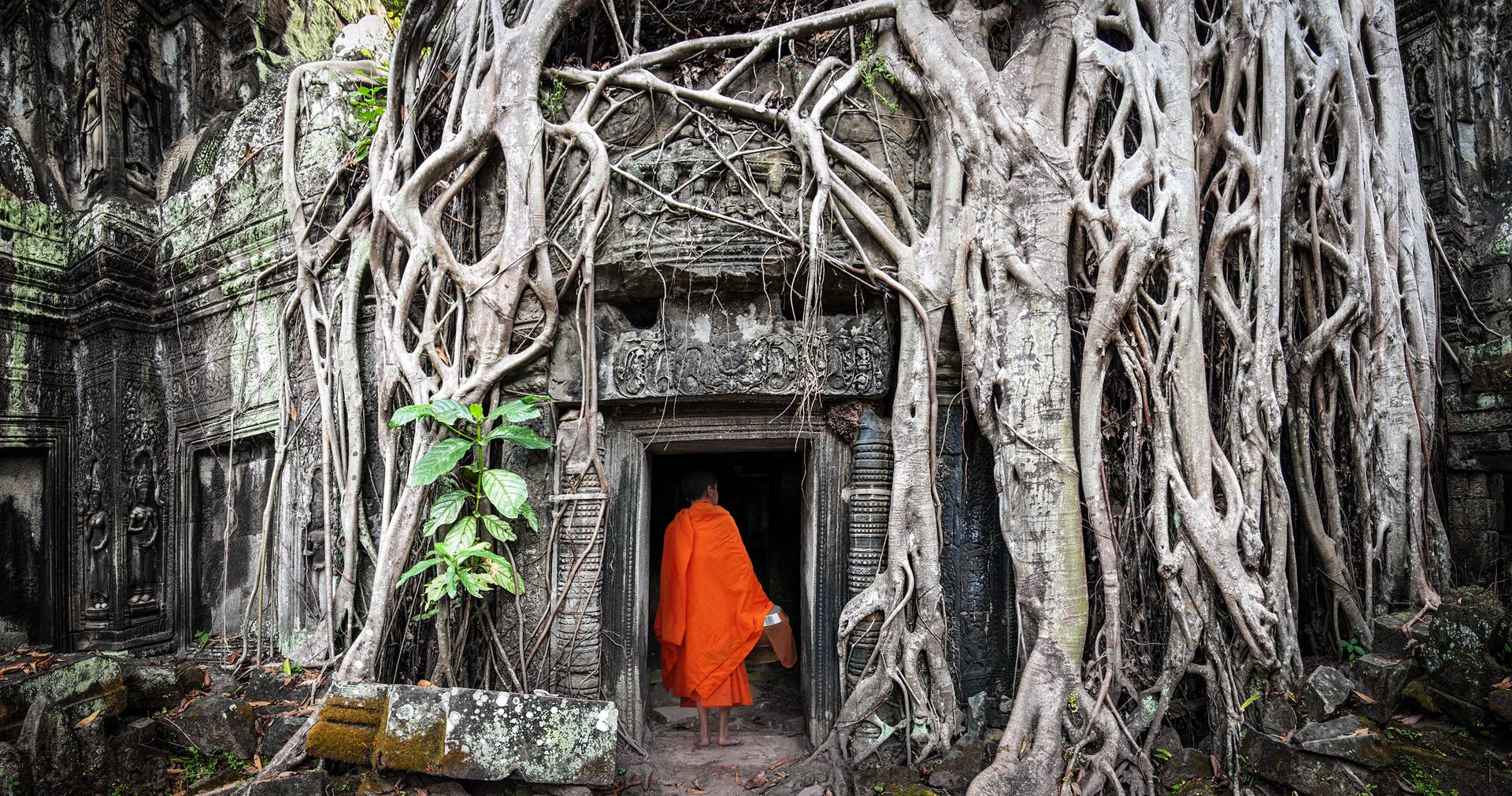 Cambodia in Depth