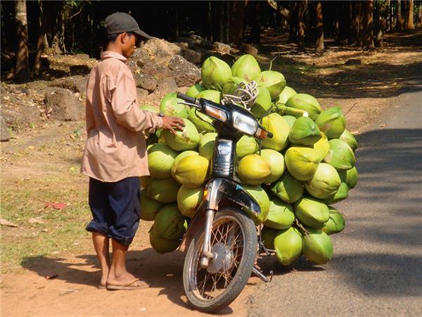 Cambodia in Style