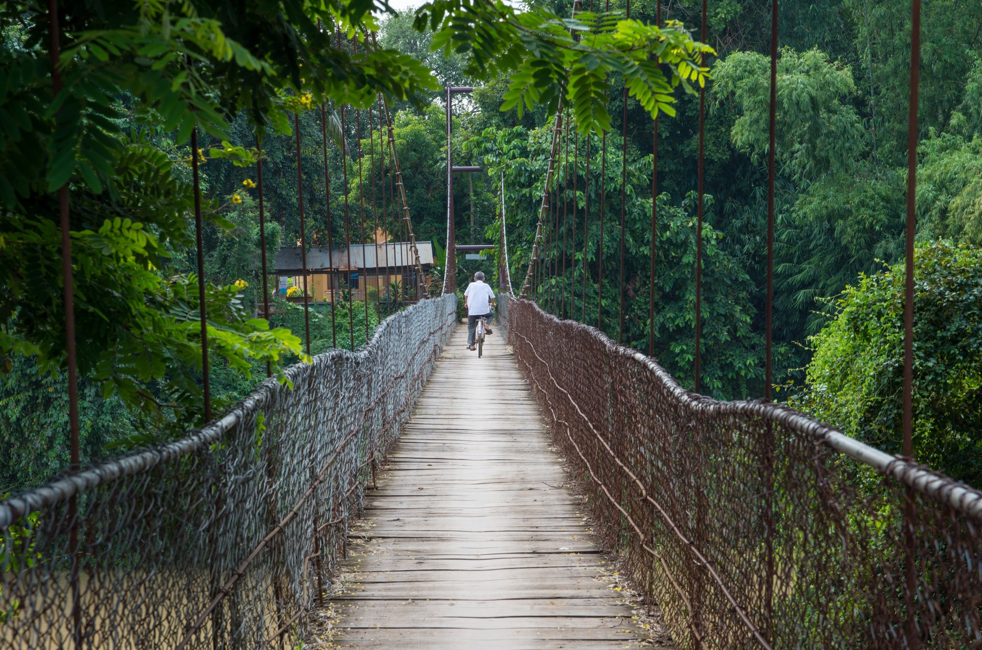 Cambodia in Depth