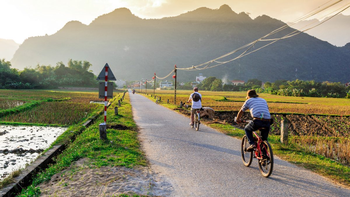 Culinary Delights of Vietnam