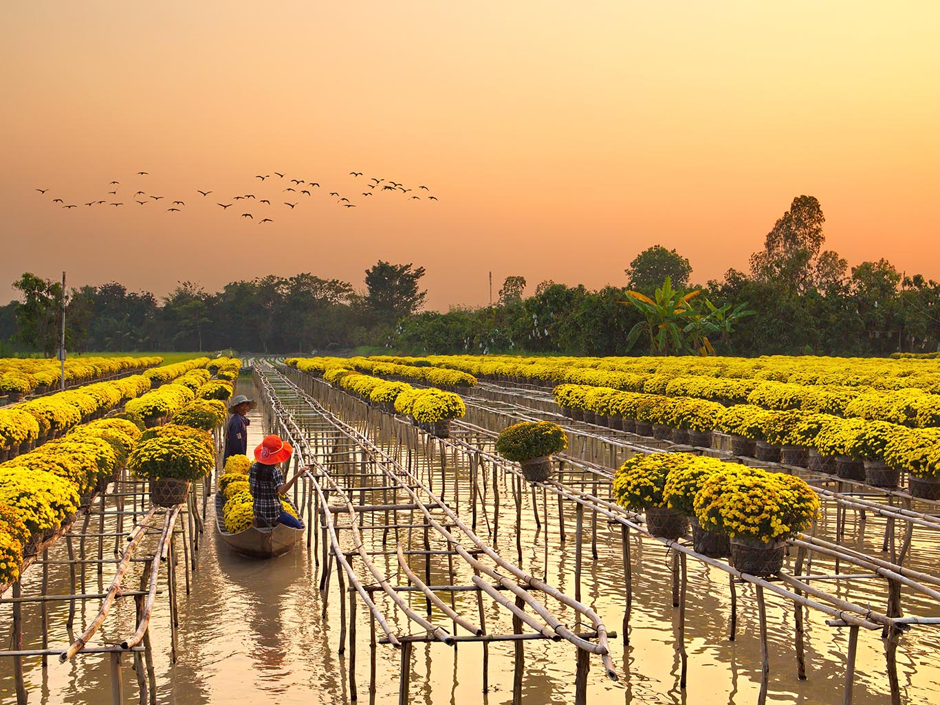 Vietnam & Angkor