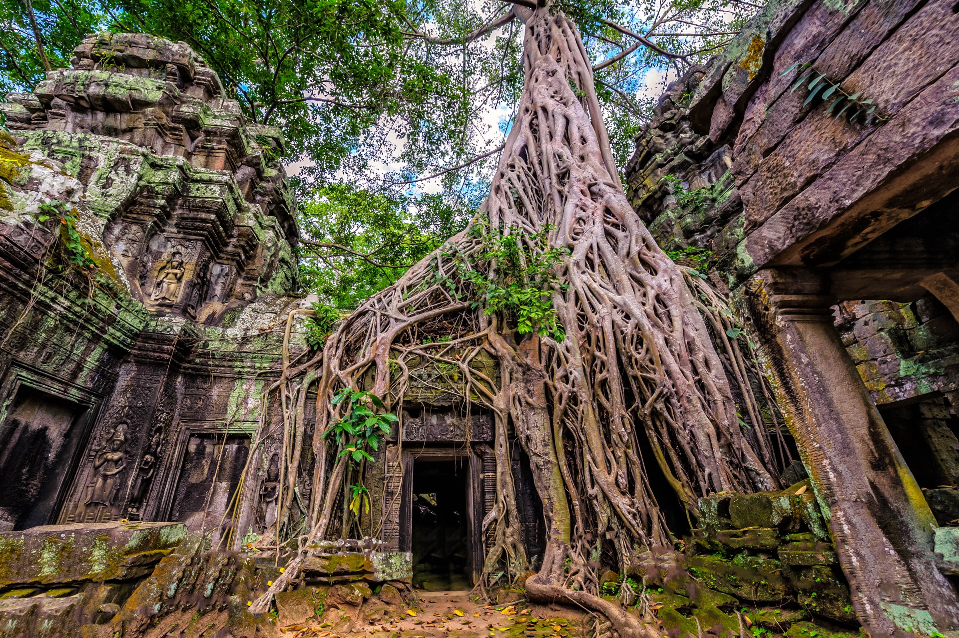 Cambodia in Depth